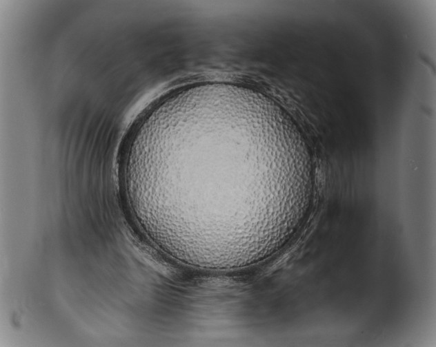 X0000100850246200807111223