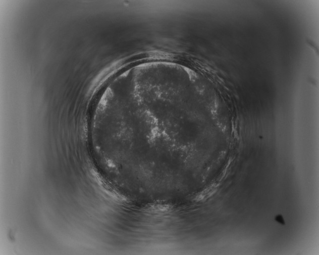 X0000100850247200807111223