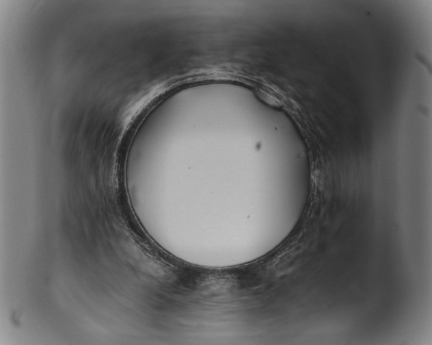 X0000100850248200807111223