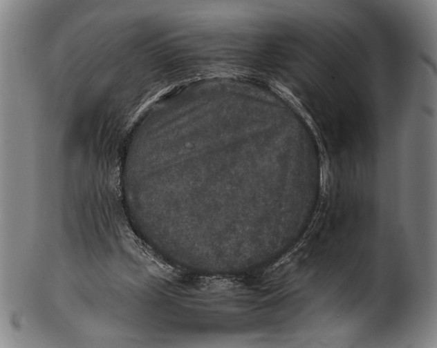 X0000100850249200807111223