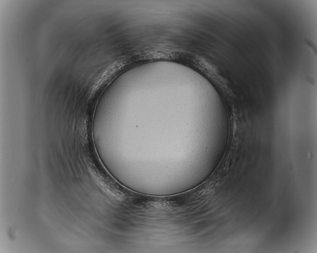 X0000100850250200807111223