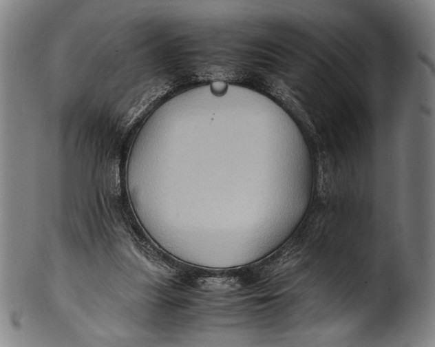 X0000100850251200807111223