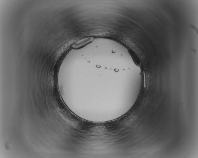 X0000100850252200807111223