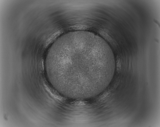 X0000100850254200807111223