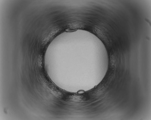 X0000100850255200807111223