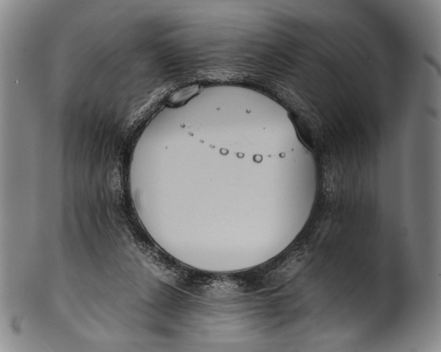 X0000100850256200807111223