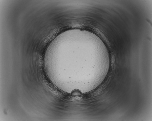 X0000100850257200807111223