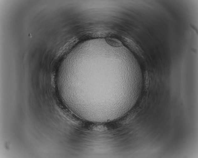 X0000100850258200807111223