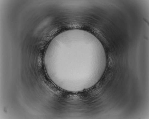 X0000100850259200807111223