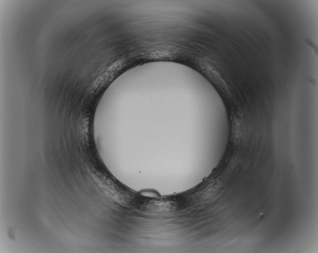 X0000100850260200807111223