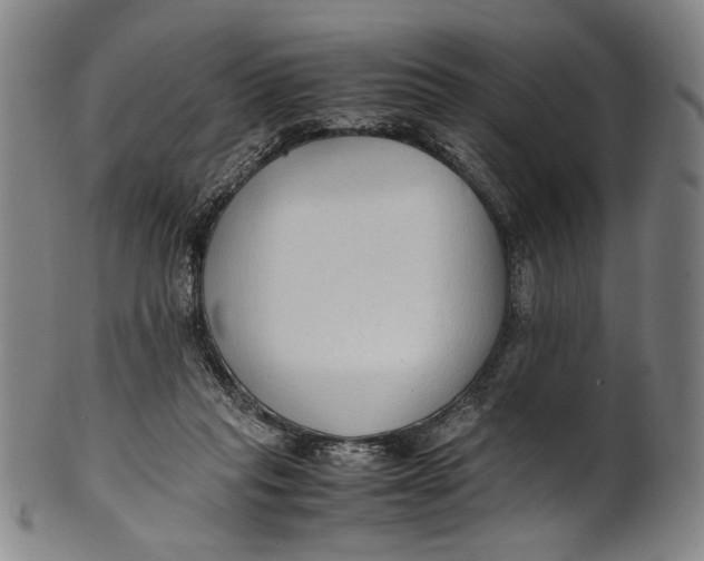 X0000100850261200807111223