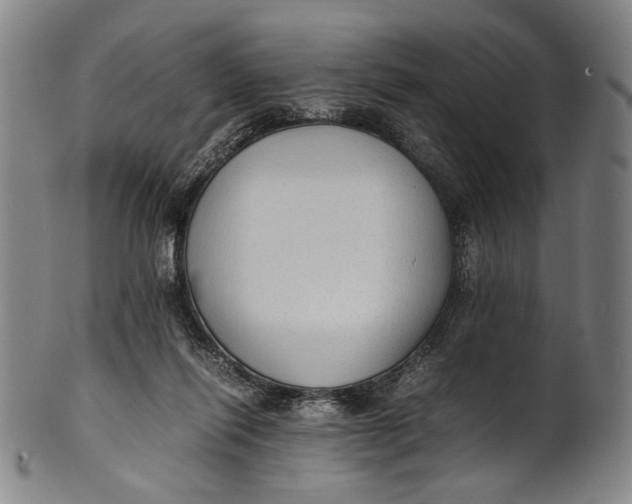 X0000100850262200807111223