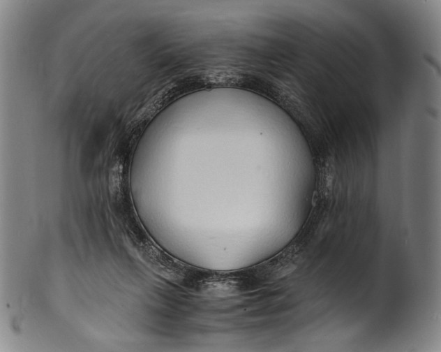 X0000100850263200807111223