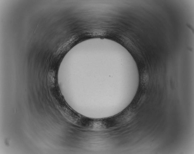 X0000100850264200807111223