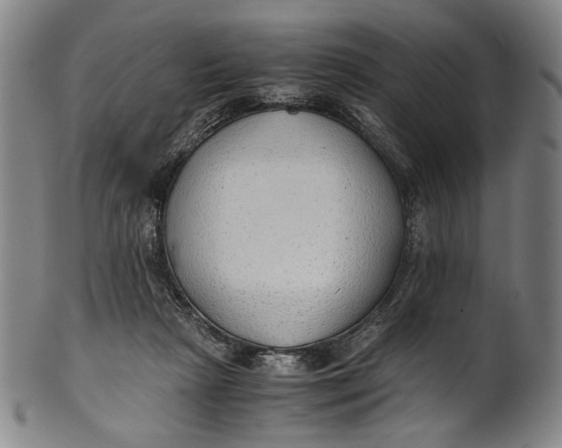 X0000100850265200807111223