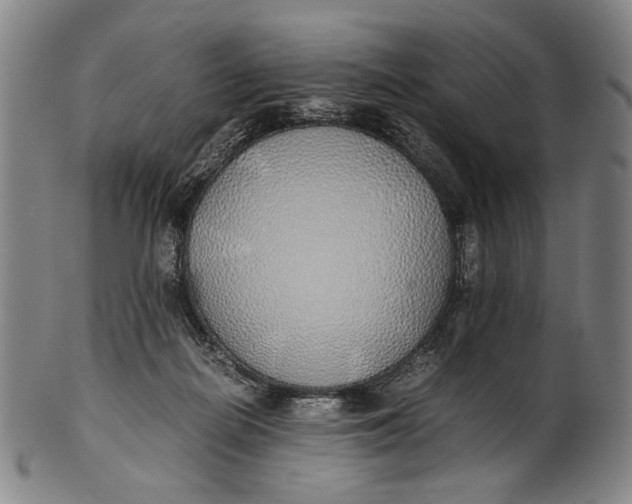 X0000100850266200807111223