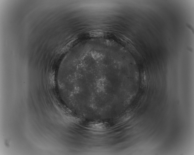 X0000100850267200807111223