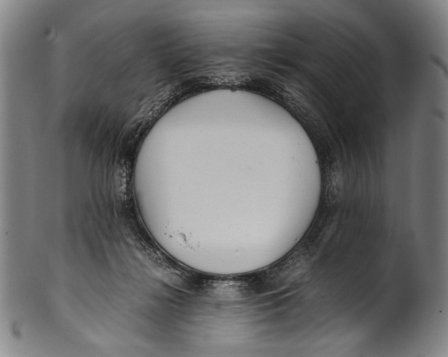 X0000100850268200807111223