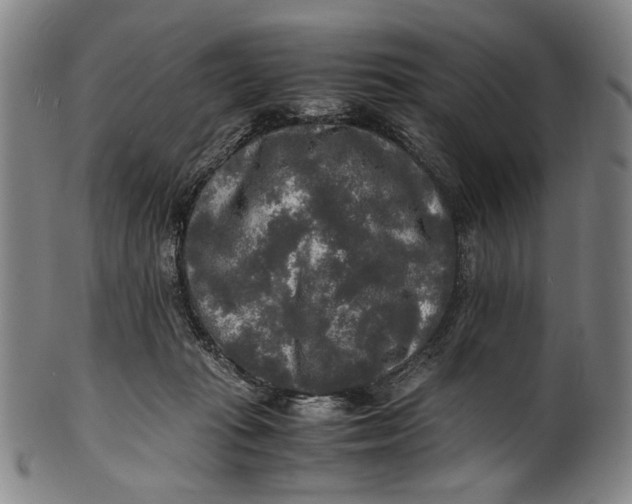 X0000100850269200807111223