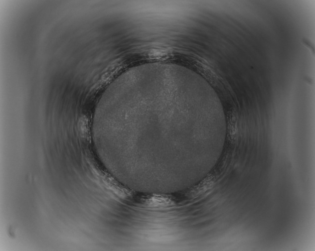 X0000100850270200807111223