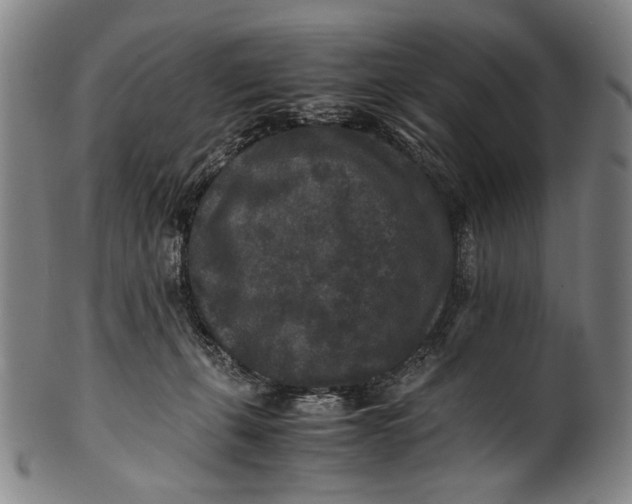 X0000100850271200807111223