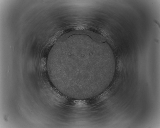 X0000100850273200807111223