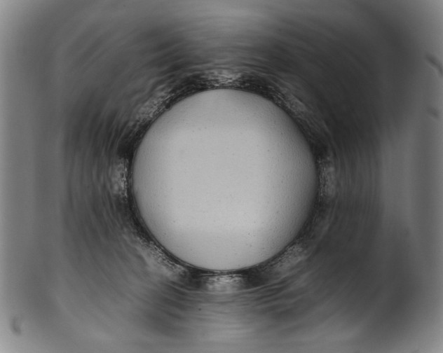 X0000100850274200807111223