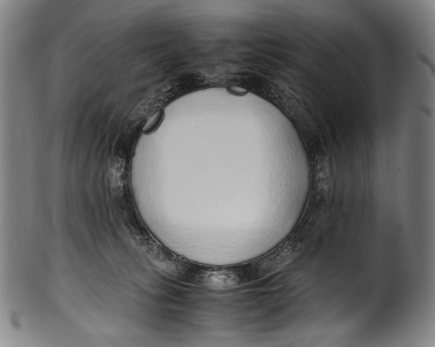 X0000100850275200807111223