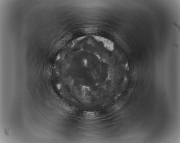 X0000100850277200807111223