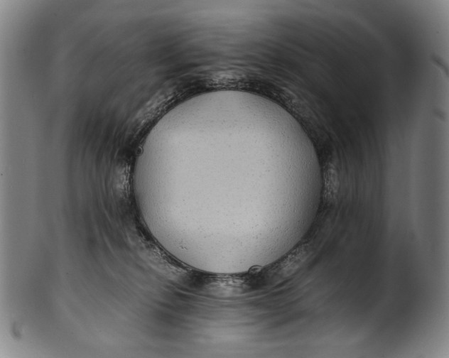 X0000100850278200807111223