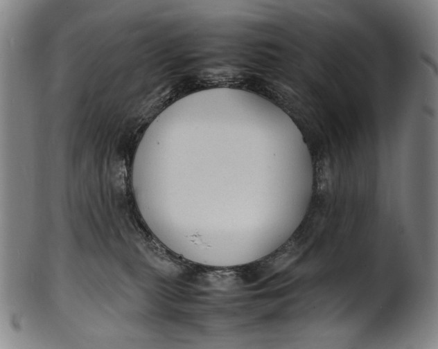 X0000100850279200807111223