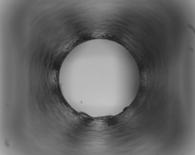 X0000100850280200807111223