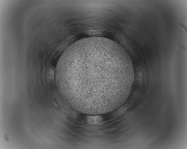 X0000100850281200807111223