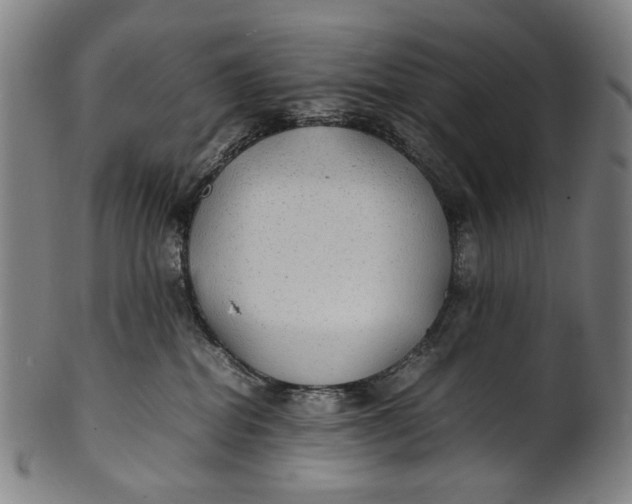 X0000100850282200807111223