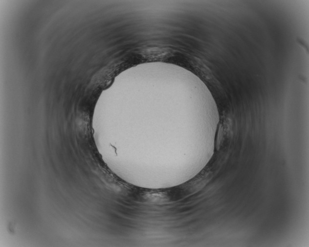 X0000100850283200807111223