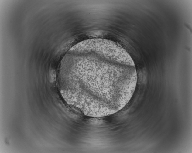 X0000100850284200807111223