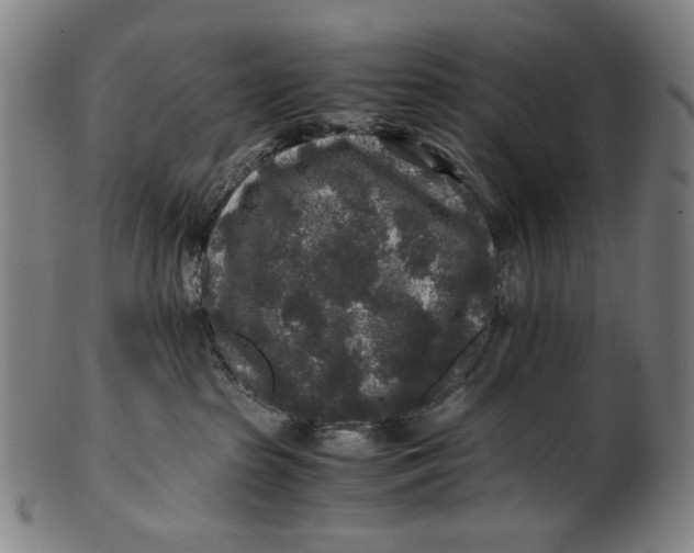 X0000100850285200807111223