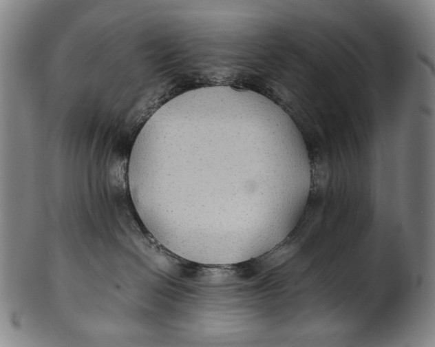 X0000100850286200807111223