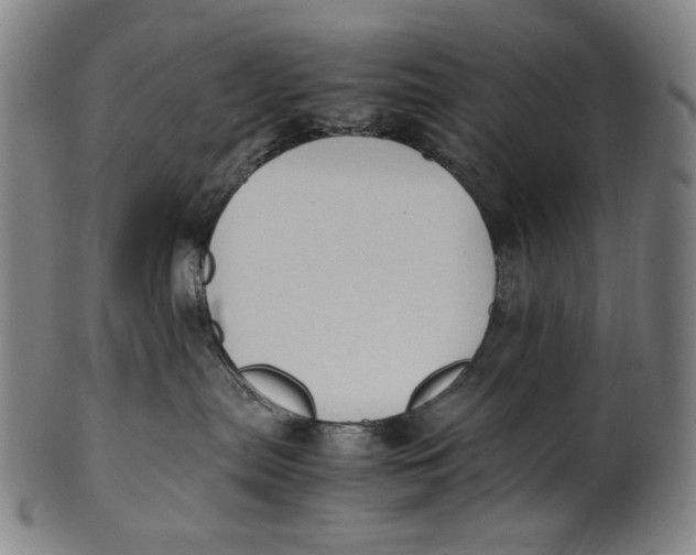 X0000100850287200807111223