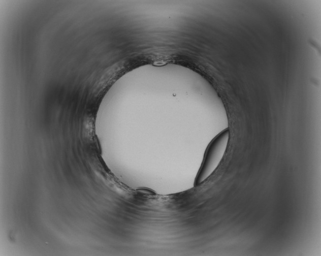 X0000100850288200807111223