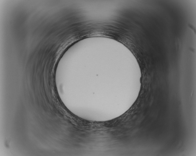 X0000100850289200807111222