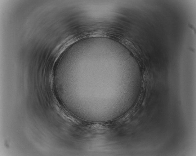 X0000100850290200807111222