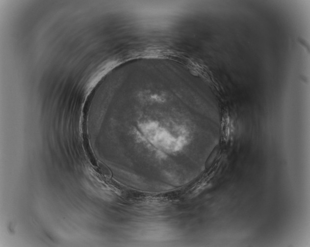 X0000100850292200807111222