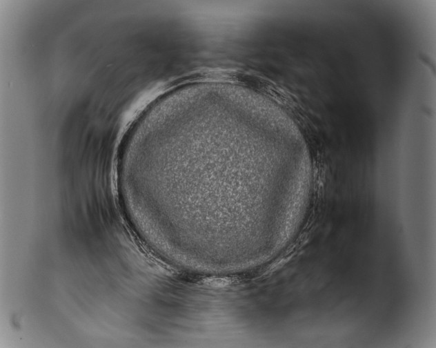 X0000100850294200807111222