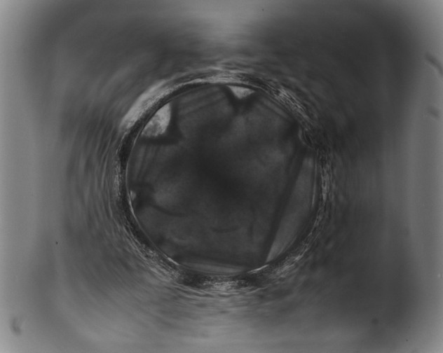 X0000100850295200807111222