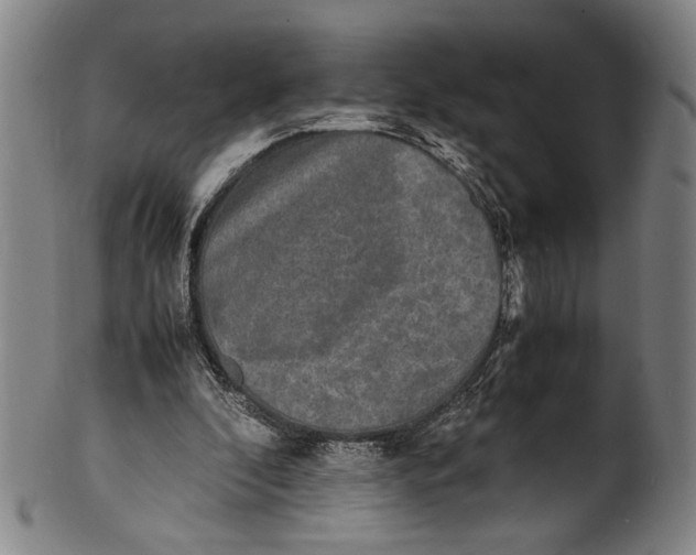 X0000100850296200807111222