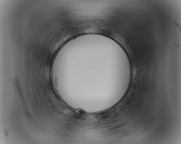 X0000100850297200807111222