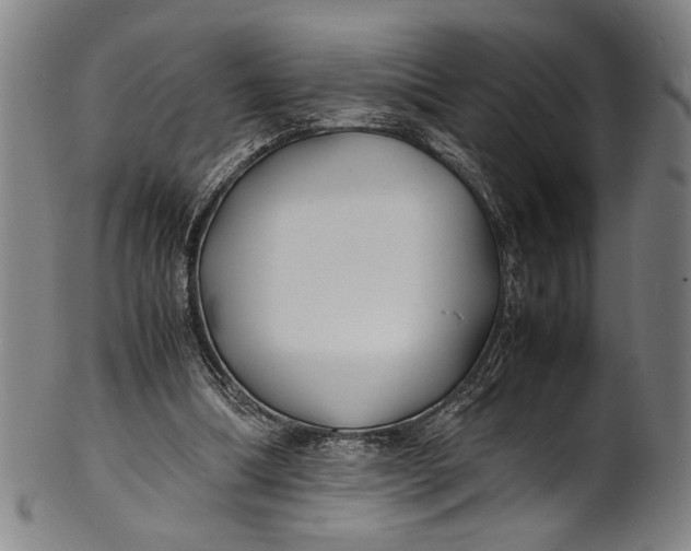 X0000100850298200807111222