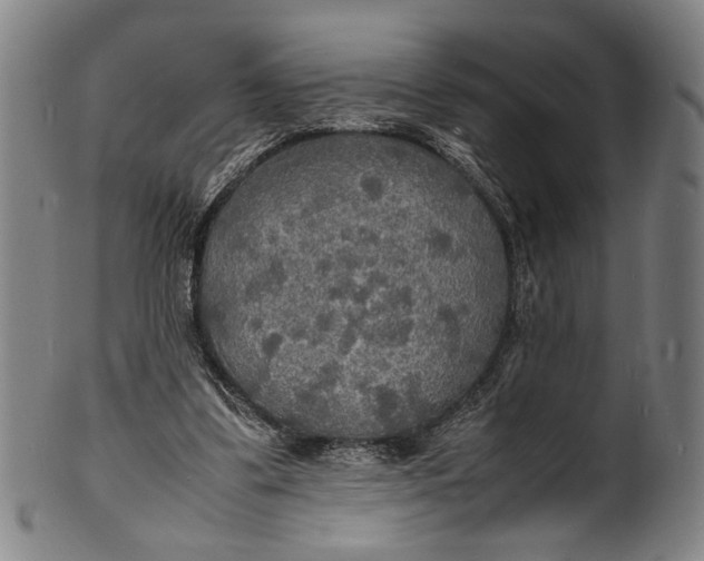 X0000100850299200807111222