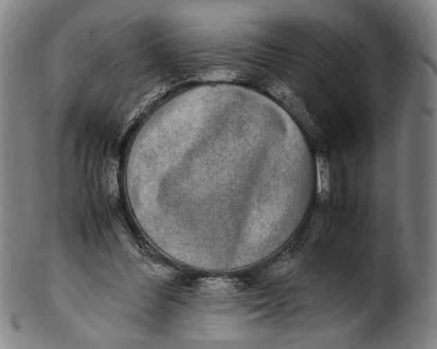 X0000100850300200807111222